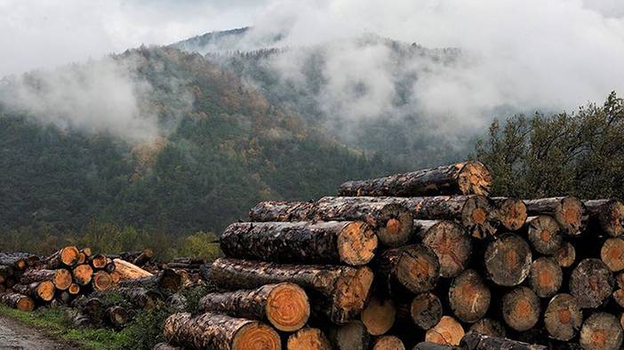 Odun sobası nasıl temizleniyor? İşte en kolay odun sobası yakma yöntemi 5